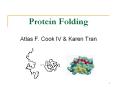 Protein Folding PowerPoint PPT Presentation