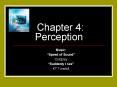 Chapter 4: Perception PowerPoint PPT Presentation
