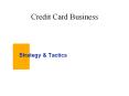 Credit Card Business PowerPoint PPT Presentation