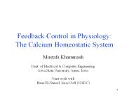 Feedback Control in Physiology: The Calcium Homeostatic System