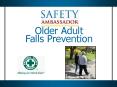 Older Adult Falls Prevention PowerPoint PPT Presentation