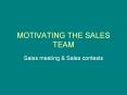 MOTIVATING THE SALES TEAM PowerPoint PPT Presentation