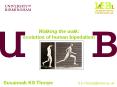 Walking the walk: evolution of human bipedalism PowerPoint PPT Presentation