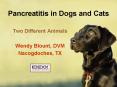 Pancreatitis in Dogs and Cats PowerPoint PPT Presentation