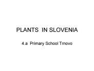 PLANTS IN SLOVENIA