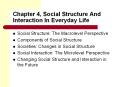 Chapter 4, Social Structure And Interaction In Everyday Life PowerPoint PPT Presentation