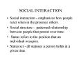 SOCIAL INTERACTION PowerPoint PPT Presentation