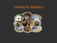 fantastic animals