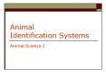 Animal Identification Systems PowerPoint PPT Presentation