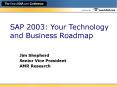 SAP 2003: Your Technology and Business Roadmap PowerPoint PPT Presentation