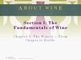 Section I: The Fundamentals of Wine PowerPoint PPT Presentation