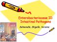 Enterobacteriaceae II: Intestinal Pathogens PowerPoint PPT Presentation