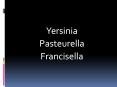 Yersinia PowerPoint PPT Presentation