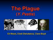 The Plague