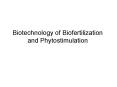Biotechnology of Biofertilization and Phytostimulation PowerPoint PPT Presentation