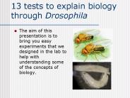 13 tests to explain biology through Drosophila