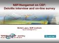 NIIF/Hungarnet on CEF: Deloitte interview and on-line survey PowerPoint PPT Presentation