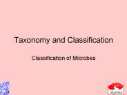 Taxonomy and Classification