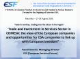 COMESA (Common Market for Eastern and Southern Africa) Business Forum for the Signing of Interim EPA PowerPoint PPT Presentation