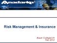 Risk Management PowerPoint PPT Presentation