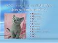 ROC: the kitty with the TEAL PAW: Uses of the Imperfect PowerPoint PPT Presentation