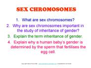 SEX CHROMOSOMES