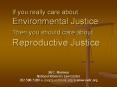 If you really care about Environmental Justice Then you should care about Reproductive Justice PowerPoint PPT Presentation