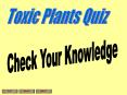 Toxic Plants Quiz PowerPoint PPT Presentation