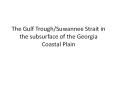 The Gulf Trough/Suwannee Strait in the subsurface of the Georgia Coastal Plain PowerPoint PPT Presentation