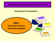 Accounting Information Systems (ACCT 312)