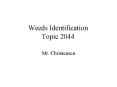 Weeds Identification Topic 2044 PowerPoint PPT Presentation