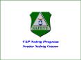 CAP Safety Program PowerPoint PPT Presentation