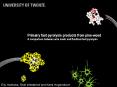 Primairy fast pyrolysis products from pine-wood PowerPoint PPT Presentation