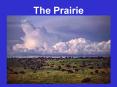 The Prairie PowerPoint PPT Presentation