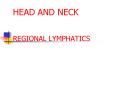 HEAD AND NECK  REGIONAL LYMPHATICS PowerPoint PPT Presentation