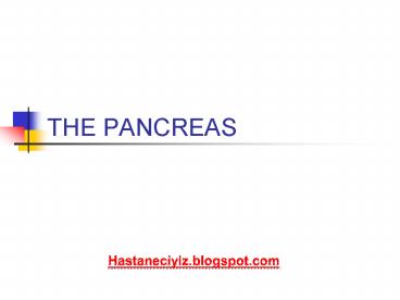 THE PANCREAS