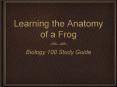 Learning the Anatomy of a Frog PowerPoint PPT Presentation