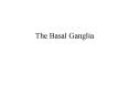 The Basal Ganglia PowerPoint PPT Presentation
