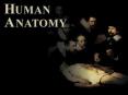 Human Anatomy and Physiology PowerPoint PPT Presentation