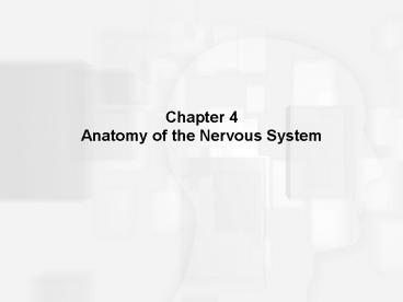 Chapter 4 Anatomy of the Nervous System