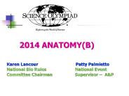 2014 ANATOMY(B)