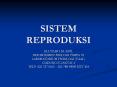 SISTEM REPRODUKSI PowerPoint PPT Presentation