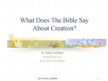 What Does The Bible Say About Creation?