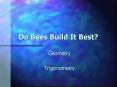 Do Bees Build It Best? PowerPoint PPT Presentation