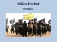 NGOs: The Bad PowerPoint PPT Presentation
