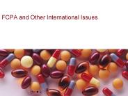 FCPA and Other International Issues