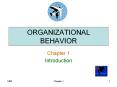 ORGANIZATIONAL BEHAVIOR PowerPoint PPT Presentation