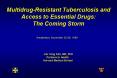 Multidrug-Resistant Tuberculosis and Access to Essential Drugs:  The Coming Storm PowerPoint PPT Presentation