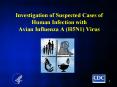 Investigation of Suspected Cases of Human Infection with Avian Influenza A (H5N1) Virus PowerPoint PPT Presentation