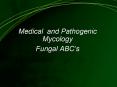 Medical and Pathogenic Mycology PowerPoint PPT Presentation